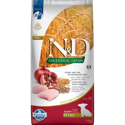 FARMINA N&D Ancestral Low Grain Chicken & Pomegranate Mini Puppy - Poulet, grenades et céréales pour chiots et chiennes en gestation de petites races - 7 kg - Publicité FARMINA N&D Ancestral Low Grain Chicken & Pomegranate Mini Puppy - Poulet, grenades et céréales pour chiots et chiennes en gestation de petites races - 7 kg - Publicité