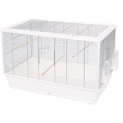 INTERZOO Fiona Mini Cage à Oiseaux - 78cm Blanc avec Perches & Mangeoires - Publicité INTERZOO Fiona Mini Cage à Oiseaux - 78cm Blanc avec Perches & Mangeoires - Publicité