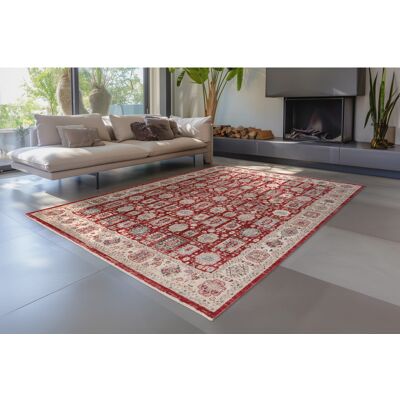 Deladeco Tapis rouge avec franges ethnique oriental Bakthiari Rouge 200x290 - Publicité Deladeco Tapis rouge avec franges ethnique oriental Bakthiari Rouge 200x290 - Publicité