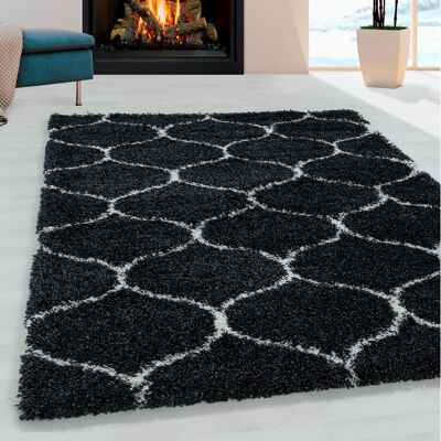 Deladeco Tapis shaggy baroque rectangulaire Lokalt Anthracite 280x370 - Publicité Deladeco Tapis shaggy baroque rectangulaire Lokalt Anthracite 280x370 - Publicité