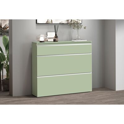 Deladeco Meuble à chaussures 120 cm vert sauge/chêne Maeva Vert sauge/chêne - Publicité Deladeco Meuble à chaussures 120 cm vert sauge/chêne Maeva Vert sauge/chêne - Publicité