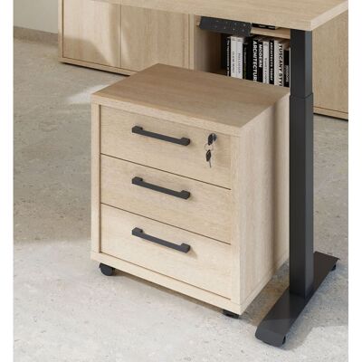 Deladeco Caisson de bureau mobile contemporain chêne sable Lexos Chêne sable - Publicité Deladeco Caisson de bureau mobile contemporain chêne sable Lexos Chêne sable - Publicité