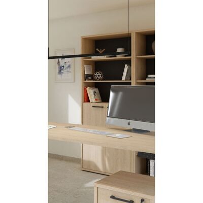 Deladeco Armoire combinée de bureau contemporaine chêne sable Lexos Chêne sable - Publicité Deladeco Armoire combinée de bureau contemporaine chêne sable Lexos Chêne sable - Publicité