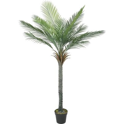 HOMCOM Palmier artificiel 180 cm, plante artificielle tropicale en pot, 15 feuilles réalistes, fausse plante verte décoration in - Publicité HOMCOM Palmier artificiel 180 cm, plante artificielle tropicale en pot, 15 feuilles réalistes, fausse plante verte décoration in - Publicité