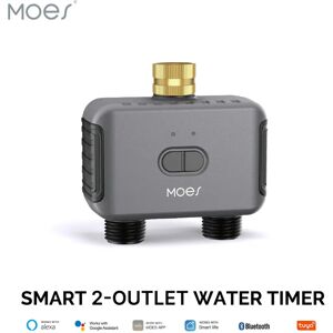 MOES – vanne d'eau intelligente bidirectionnelle Bluetooth, arroseur de jardin, minuterie Programmable, filtre, retard de pluie, contrôle automatique de l'irrigation
