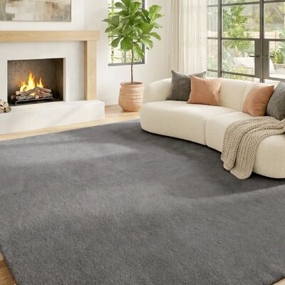 Tapis de salon Homcom 120x160 cm, lavable en machine, à poils longs, style moderne, pour salon, chambre à coucher, gris clair - Publicité Tapis de salon Homcom 120x160 cm, lavable en machine, à poils longs, style moderne, pour salon, chambre à coucher, gris clair - Publicité