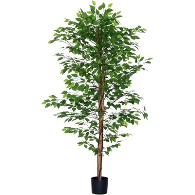 HOMCOM Plante artificielle arbre artificiel ficus hauteur 1,80 m tronc branches liane lichen feuilles grand réalisme pot inclus, - Publicité HOMCOM Plante artificielle arbre artificiel ficus hauteur 1,80 m tronc branches liane lichen feuilles grand réalisme pot inclus, - Publicité