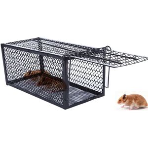 Aucun Piège à verrouillage automatique, attrape-souris, appât pour Rat, boîte