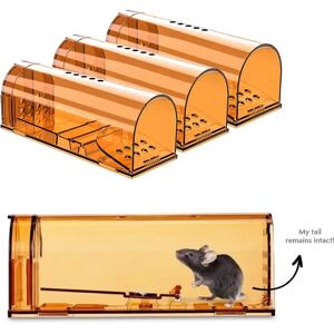 Aucun Piège à rats réutilisable pour souris, rongeur, sans tuer,