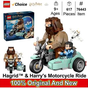 Lego 76443 Harry Potter Hagrid & Harry's Motorcycle Ride Building