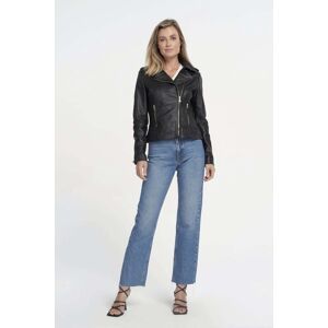 Ibana Bear Blaze Black/gold Taille: 38 Vestes en cuir Outlet Femme Le Noir - Publicité Ibana Bear Blaze Black/gold Taille: 38 Vestes en cuir Outlet Femme Le Noir - Publicité