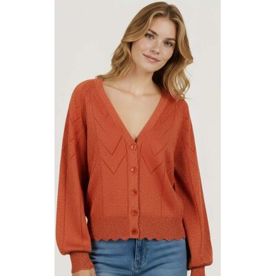 Esqualo Cardigan Lurex Rust Taille: S Vestes Outlet Femme Marron - Publicité Esqualo Cardigan Lurex Rust Taille: S Vestes Outlet Femme Marron - Publicité