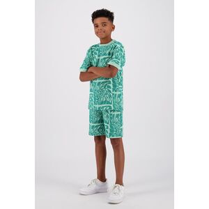 RAIZZED Boys Finn Shorts Bright Mint Taille: 2 Pantalons Outlet kids Cyan - Publicité RAIZZED Boys Finn Shorts Bright Mint Taille: 2 Pantalons Outlet kids Cyan - Publicité