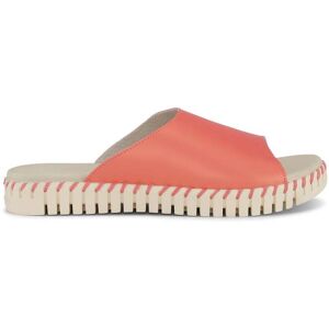 ILSE JACOBSEN HORNBÆK Ilse Jacobsen Tulip1378mn Light Brick Taille: 38 Slippers Outlet Femme - Publicité ILSE JACOBSEN HORNBÆK Ilse Jacobsen Tulip1378mn Light Brick Taille: 38 Slippers Outlet Femme - Publicité