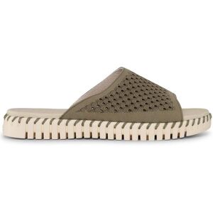 ILSE JACOBSEN HORNBÆK Ilse Jacobsen Tulip1375 Army Taille: 37 Slippers Outlet Femme Vert - Publicité ILSE JACOBSEN HORNBÆK Ilse Jacobsen Tulip1375 Army Taille: 37 Slippers Outlet Femme Vert - Publicité
