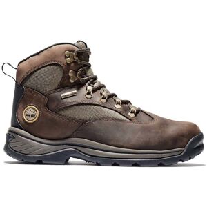 Timberland Chocorua Mid Lace Up Waterproof Hiking Boot Medium Brown Taille: 41 Chaussures à Lacets Outlet Homme Marron - Publicité Timberland Chocorua Mid Lace Up Waterproof Hiking Boot Medium Brown Taille: 41 Chaussures à Lacets Outlet Homme Marron - Publicité