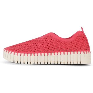 ILSE JACOBSEN HORNBÆK Ilse Jacobsen Flats Tulip3373 Viva Magenta Taille: 39 Baskets Outlet Femme Rose - Publicité ILSE JACOBSEN HORNBÆK Ilse Jacobsen Flats Tulip3373 Viva Magenta Taille: 39 Baskets Outlet Femme Rose - Publicité