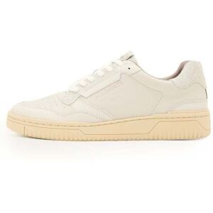 AllSaints Regan Low Top Triple Chalk White Taille: 43 Chaussures à Lacets Outlet Homme Blanche - Publicité AllSaints Regan Low Top Triple Chalk White Taille: 43 Chaussures à Lacets Outlet Homme Blanche - Publicité
