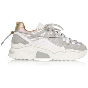 DWRS label Orion Grey / Silver Taille: 41 Baskets Outlet Femme Gris - Publicité DWRS label Orion Grey / Silver Taille: 41 Baskets Outlet Femme Gris - Publicité