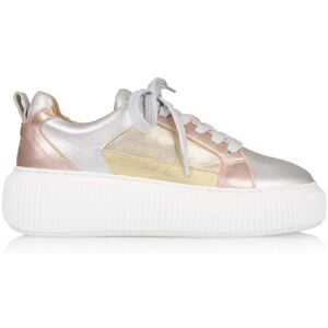DWRS label Madison Silver / Champagne Taille: 39 Baskets Outlet Femme Gris - Publicité DWRS label Madison Silver / Champagne Taille: 39 Baskets Outlet Femme Gris - Publicité