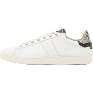 AllSaints Leon Lthr Low Top White/black Taille: 46 Chaussures à Lacets Outlet Homme Blanche - Publicité AllSaints Leon Lthr Low Top White/black Taille: 46 Chaussures à Lacets Outlet Homme Blanche - Publicité