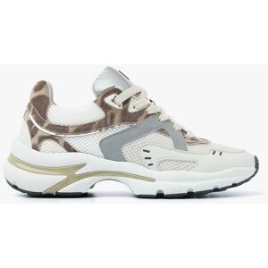 VIA VAI Vesper Kelsey Brown Taille: 42 Baskets Outlet Femme Marron - Publicité VIA VAI Vesper Kelsey Brown Taille: 42 Baskets Outlet Femme Marron - Publicité