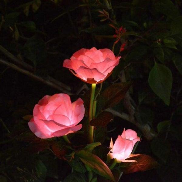 filloz Rose Lumineuse Solaire - Décoration Jardin - Rose