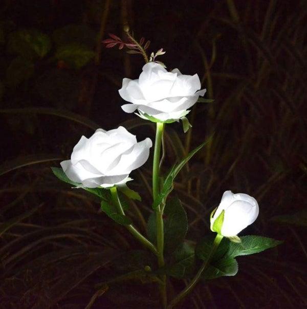 filloz Rose Lumineuse Solaire - Décoration Jardin - Blanc