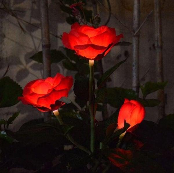 filloz Rose Lumineuse Solaire - Décoration Jardin - Rouge