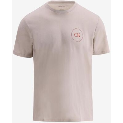 T-shirt manches courtes Calvin Klein Logo Graphic 1968 beige rouge terracotta homme - S - Publicité T-shirt manches courtes Calvin Klein Logo Graphic 1968 beige rouge terracotta homme - S - Publicité