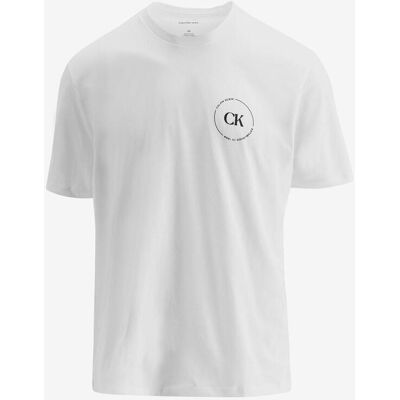 T-shirt manches courtes Calvin Klein Logo Graphic 1968 blanc noir - L - Publicité T-shirt manches courtes Calvin Klein Logo Graphic 1968 blanc noir - L - Publicité