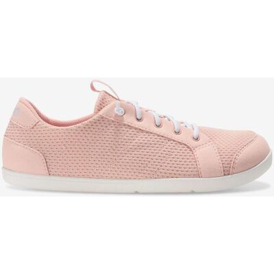 Chaussures Xero Shoes Dillon Knit Big Kids rose pastel blanc enfant - 36 - Publicité Chaussures Xero Shoes Dillon Knit Big Kids rose pastel blanc enfant - 36 - Publicité