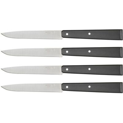 Coffret de 4 couteaux de table opinel n°125 pro lames micro dentées 11cm - Publicité Coffret de 4 couteaux de table opinel n°125 pro lames micro dentées 11cm - Publicité