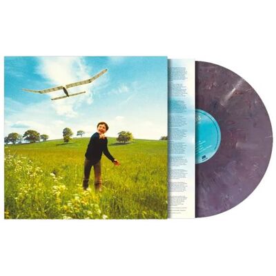 Who We Used To Be - Vinyle - Publicité Who We Used To Be - Vinyle - Publicité