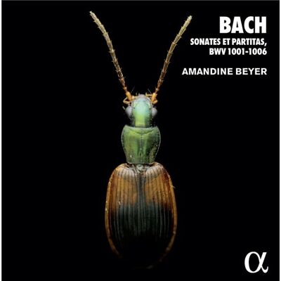 - PAS DE MARQUE - Sonates et partitas, BWV 1001-1006 - Publicité - PAS DE MARQUE - Sonates et partitas, BWV 1001-1006 - Publicité