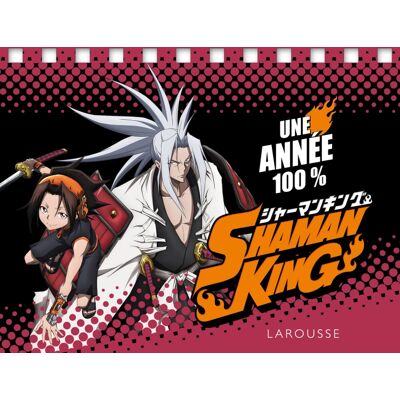Une année 100 % Shaman King - Publicité Une année 100 % Shaman King - Publicité