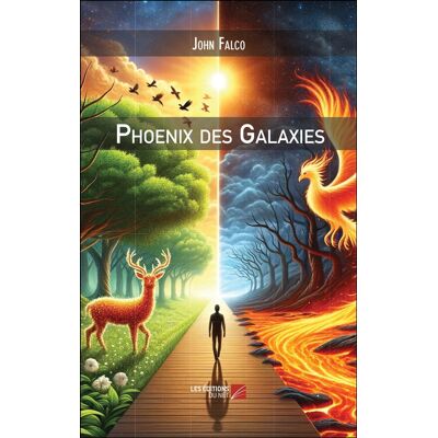 Phoenix des Galaxies - Publicité Phoenix des Galaxies - Publicité