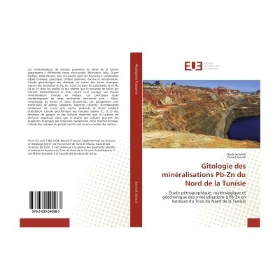 Packard Bell Gîtologie des mineralisations Pb-Zn du Nord de la Tunisie : Etude petrographique, mineralogique et geochimique des mineralisations A Pb-Zn en bordure du Trias - Publicité Packard Bell Gîtologie des mineralisations Pb-Zn du Nord de la Tunisie : Etude petrographique, mineralogique et geochimique des mineralisations A Pb-Zn en bordure du Trias - Publicité