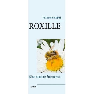 Roxille : une histoire étonnante - Publicité Roxille : une histoire étonnante - Publicité
