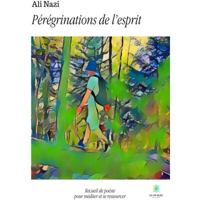 Pérégrinations de l'esprit - Publicité Pérégrinations de l'esprit - Publicité