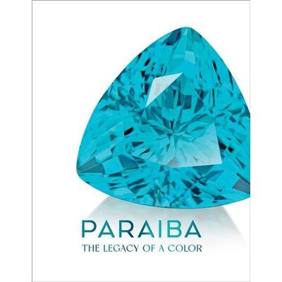 ART Paraíba : The legacy of a color - Publicité ART Paraíba : The legacy of a color - Publicité
