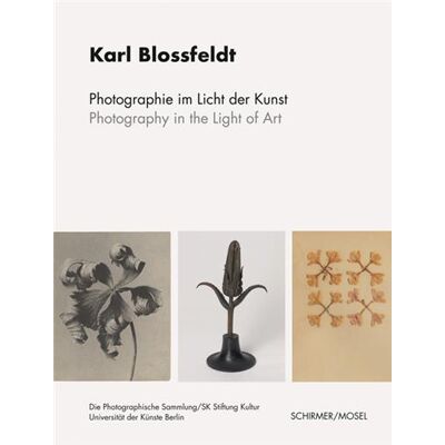 Photography in the light of art - Publicité Photography in the light of art - Publicité