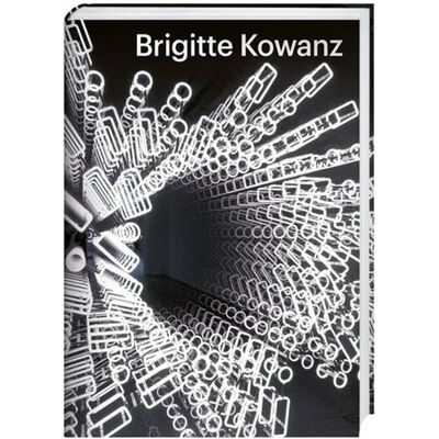 ART Brigitte kowanz light is what we see /anglais - Publicité ART Brigitte kowanz light is what we see /anglais - Publicité