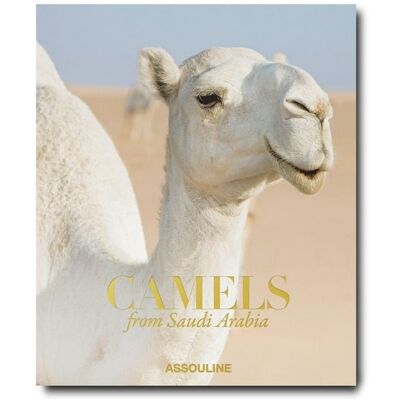 Camels from Saudi Arabia - Publicité Camels from Saudi Arabia - Publicité