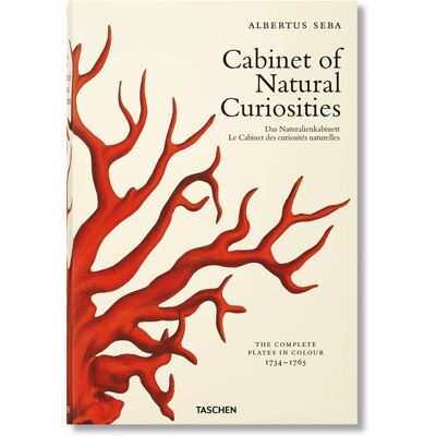 ART Seba - le cabinet des curiosités naturelles - Publicité ART Seba - le cabinet des curiosités naturelles - Publicité