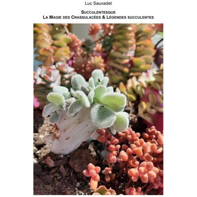 ART La Magie des Crassulacées et légendes succulentes : Succulentesque - Publicité ART La Magie des Crassulacées et légendes succulentes : Succulentesque - Publicité