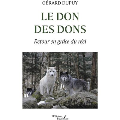 - PAS DE MARQUE - Le don des dons - Publicité - PAS DE MARQUE - Le don des dons - Publicité