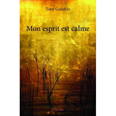 Mon esprit est calme - Publicité Mon esprit est calme - Publicité