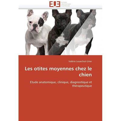 Les otites moyennes chez le chien - Publicité Les otites moyennes chez le chien - Publicité