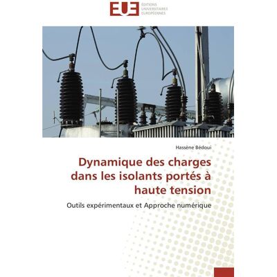 Dynamique des charges dans les isolants portes a haute tension - Publicité Dynamique des charges dans les isolants portes a haute tension - Publicité